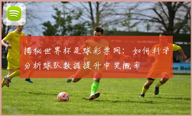 揭秘世界杯足球彩票网：如何科学分析球队数据提升中奖概率