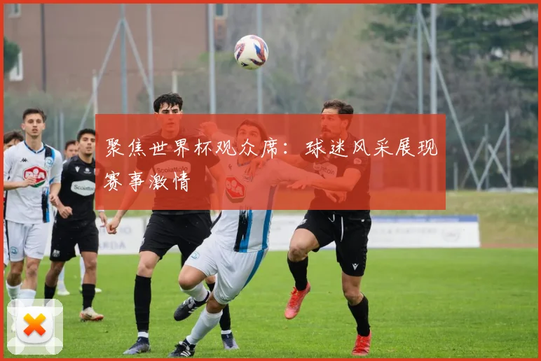 聚焦世界杯观众席：球迷风采展现赛事激情