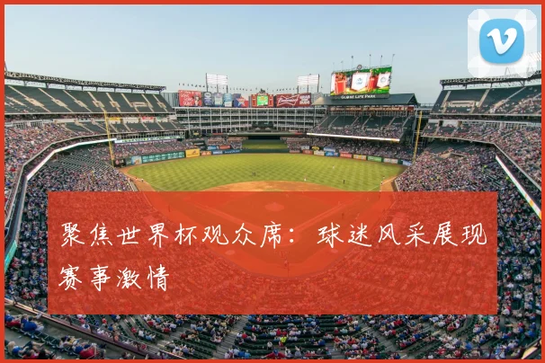 聚焦世界杯观众席：球迷风采展现赛事激情